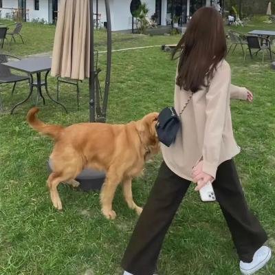 探长薇拉第十四季